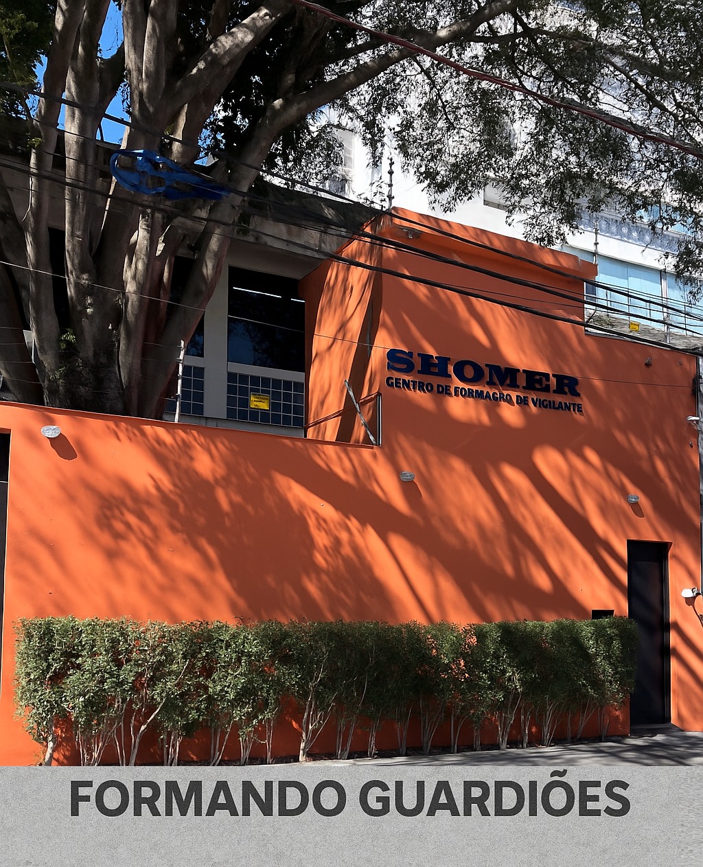 Estrutura interna SHOMER