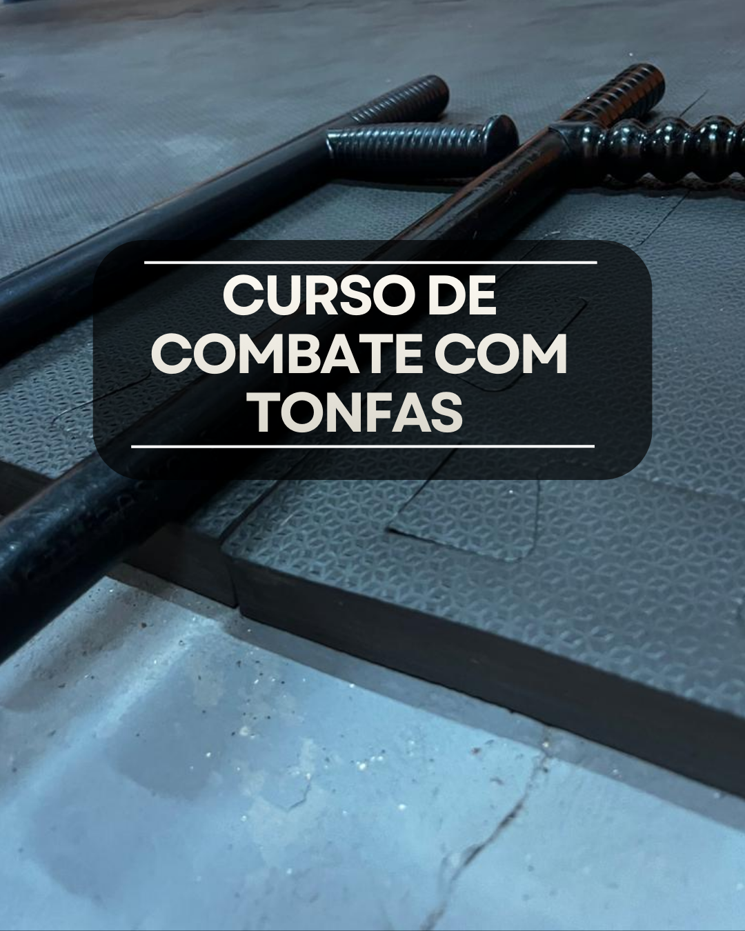 COMBATE COM TONFAS
